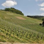 From Zagreb: Samobor Highlights & Wine Tasting in Pleivica - Scenic Drive Along the Pleivica Wine Road