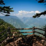 From Zlatibor/Uice: Tara National Park Adventure - Key Points