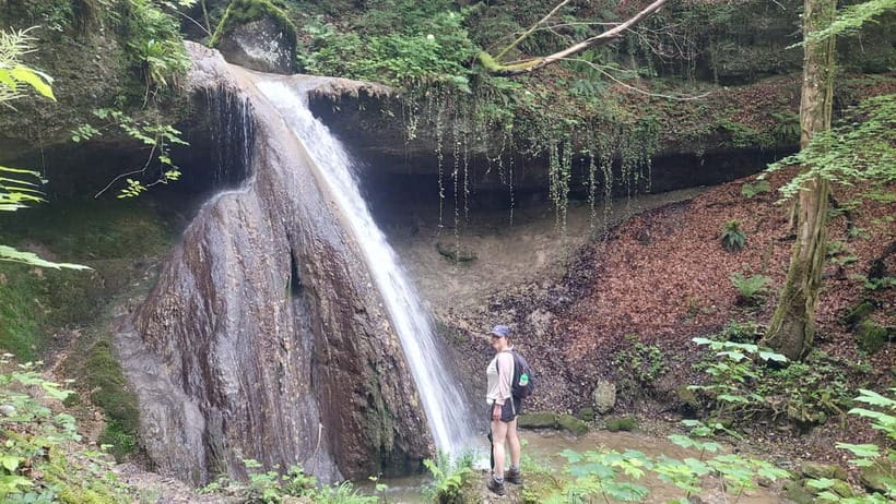 From Zug: Lorze Valley Forest Hike with Guide and Bus - Traversing Forest Trails and Riverside Paths