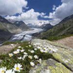 From Zurich: Jungfraujoch Guided Day Tour with Cogway Train - The Cogwheel Train Ride to Jungfraujoch