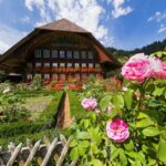From Zurich/Lucerne: Berne Capital and Countryside Day-Trip - Scenic Drive Through the UNESCO Biosphere of Entlebuch and Emmental