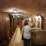 Fruka Gora Wine Tasting - The Origins and Landscape of Fruka Gora