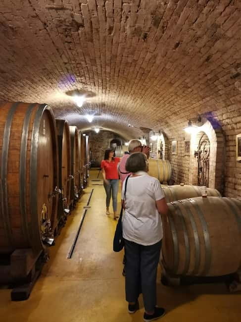Fruka Gora Wine Tasting - The Origins and Landscape of Fruka Gora