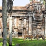 Fuengirola: Bioparc Entrance Ticket - The Bioparc Fuengirola Entrance: What You Receive