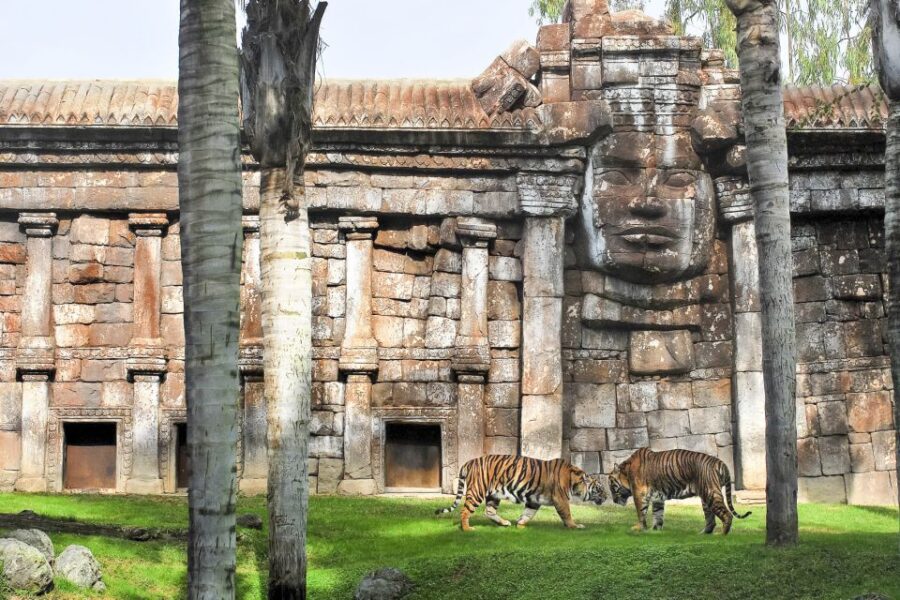 Fuengirola: Bioparc Entrance Ticket - The Bioparc Fuengirola Entrance: What You Receive