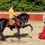 Fuengirola: Spanish Horse Show with Optional Dinner/Flamenco - Dining in Andalusian Style: Homemade Paella and Refreshments