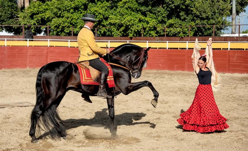 Fuengirola: Spanish Horse Show with Optional Dinner/Flamenco - Dining in Andalusian Style: Homemade Paella and Refreshments
