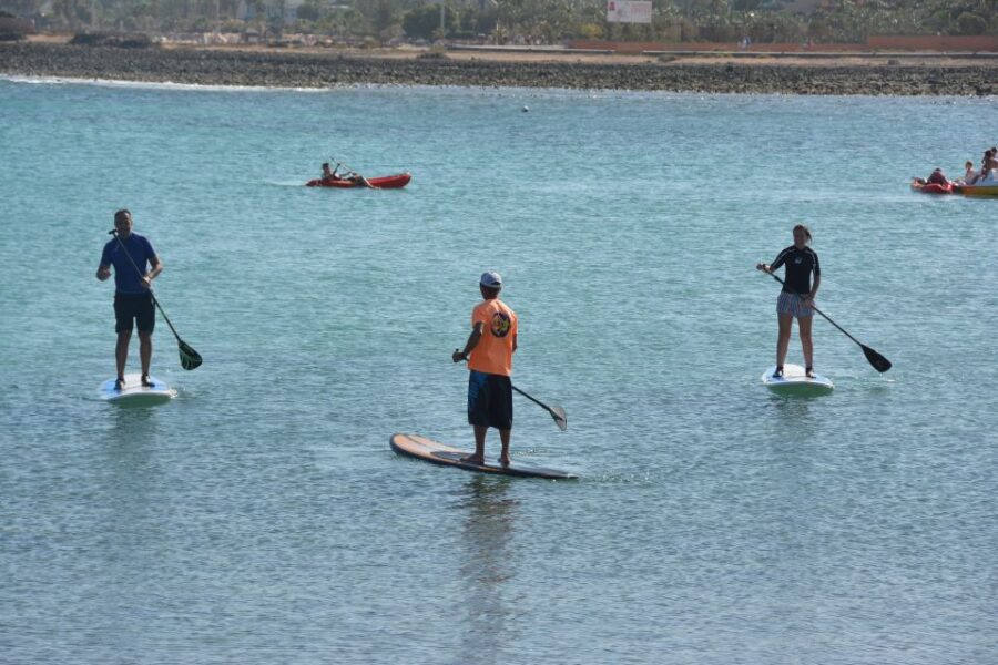 Fuerteventura: 1.5-Hour SUP Course - Caleta de Fuste - Expert Instructors and Small Group Dynamics