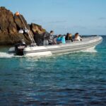 Fuerteventura: 1-hour private mini-cruise to Lobos Island - Comparing Similar Tours