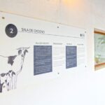 Fuerteventura: Artisan Goat's Cheese Making at Local Farm - Milking the Majorera Goats: Manual and Machine Techniques