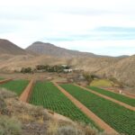 Fuerteventura: Discover Fuerteventura Tour max.8people - The Pickup Process and Meeting Points