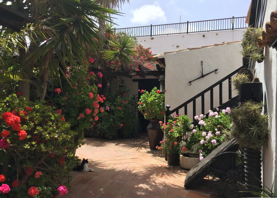 Fuerteventura: Discovery Tour - Who Will Enjoy This Tour Most?