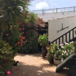 Fuerteventura: Full Day Tour with Lunch - A Visit to Tiscamanita and the Aloe Vera Plant