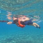 Fuerteventura: Guided Snorkeling in La Lajita with Pickup - Expertise and Friendliness of Guides
