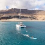 Fuerteventura: Magic Dreams Luxury Catamaran with dolphin watching. - Searching for Dolphins and Whales in Fuerteventura’s Waters