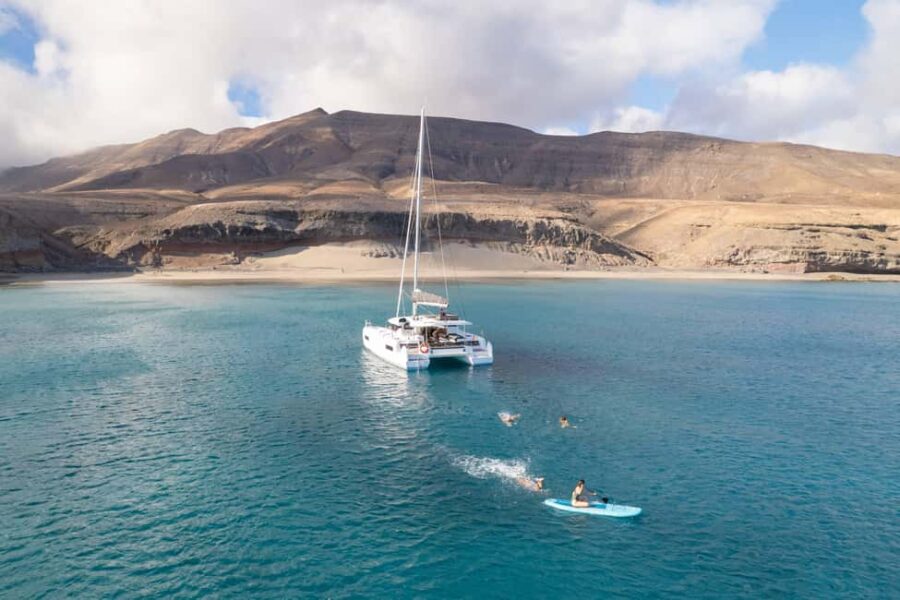 Fuerteventura: Magic Dreams Luxury Catamaran with dolphin watching. - Searching for Dolphins and Whales in Fuerteventura’s Waters