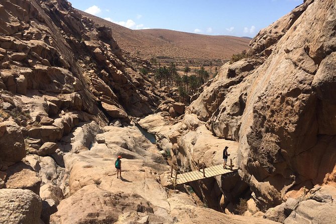 Fuerteventura South Exclusive Tour - Visiting the Pozo Negro Farm and Tasting Local Products