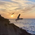 Fuerteventura sunset hike to the wild west coast - Exploring Playa de las Hermosas and Its Surroundings