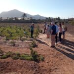 Fuerteventura: Tapas and Local Life Guided Tour - Discovering Fuerteventura’s Hidden Food Gems
