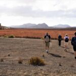 Fuerteventura: volcanic hike to the crater edge - The Terrain: Volcanic Rocks and Lava Fields