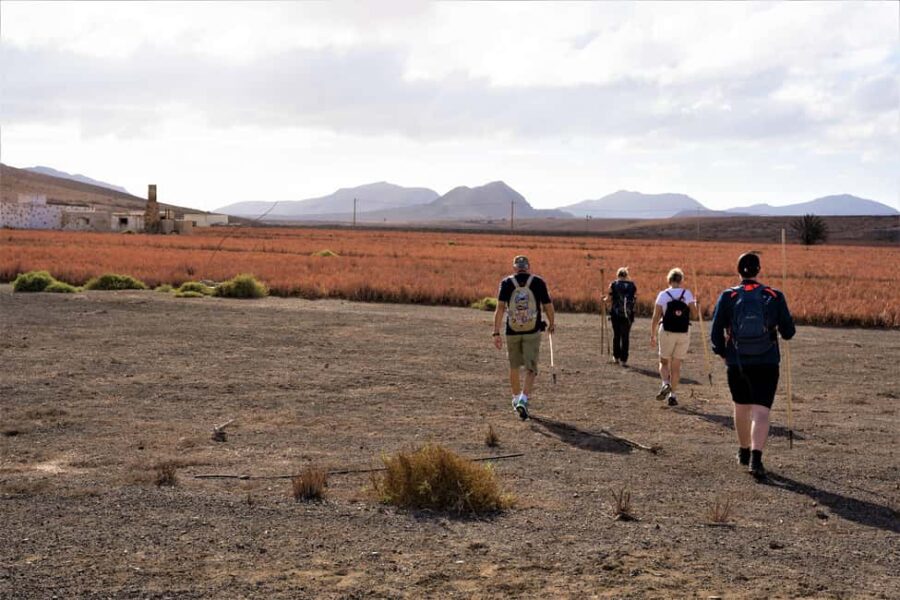 Fuerteventura: volcanic hike to the crater edge - The Terrain: Volcanic Rocks and Lava Fields