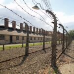 Full-Day Auschwitz and Birkenau Tour from Krakow with Private Transfer - Exploring Auschwitz I: Main Camp and Memorials