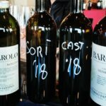 Full day Barolo&Barbaresco Wine Tour from Milano with a local winemaker - Scenic Drive with Photo Opportunities