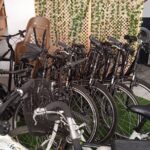 Full Day Bike Rental in Seville - Starting Point at C. Luis Montoto, 19