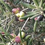 Full Day E-bike Tour in the Luberon Region from Aix en Provence - Starting Point and Overall Schedule