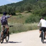 Full-Day Electric Bike Tour: Arrábida Nature Park - Seamless River Crossings and Transportation to Palmela