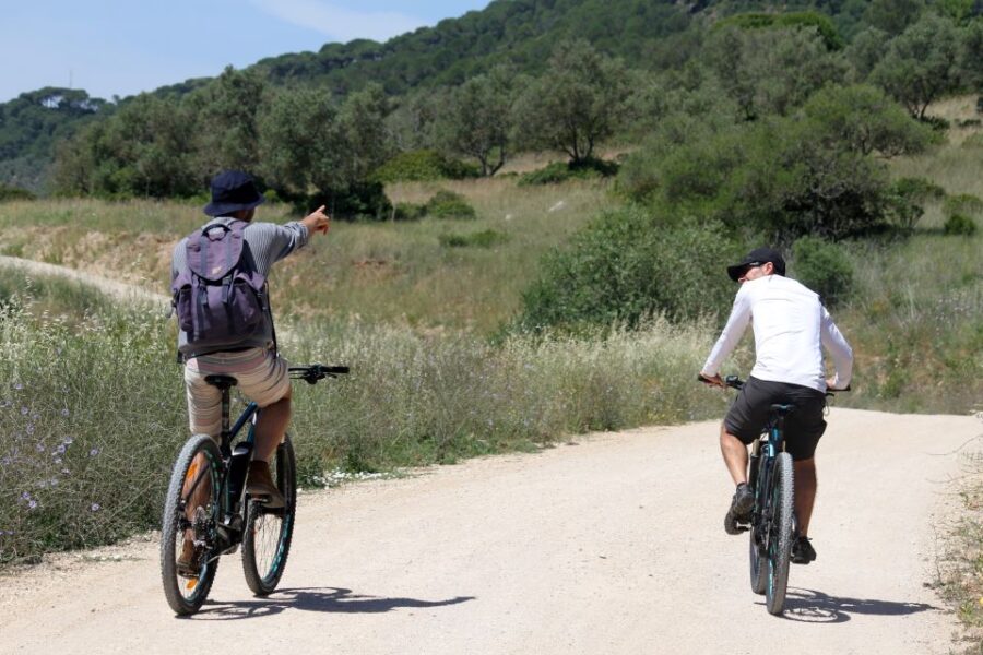 Full-Day Electric Bike Tour: Arrábida Nature Park - Seamless River Crossings and Transportation to Palmela