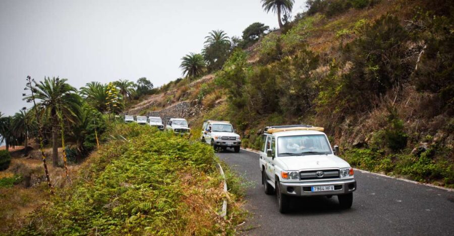 Full-Day Gomera Jeep Safari Excursion from Arona - Meeting Point and Practical Details for a Smooth Start