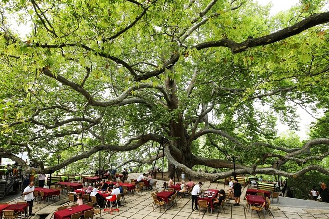 Full Day Guided Tour to Bursa with Lunch and Cable Car - Pickup and Transfer: From Istanbul to Bursa by Ferry and Mountain Drive