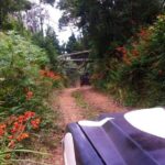 Full-Day Jeep Safari West - Porto Moniz - Seixal - Cabo Girão - Porto Moniz Natural Swimming Pools and Lunch