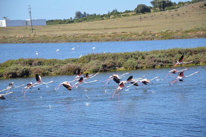 Full Day Moorish Trail Tour - The Cross-Border Boat Experience