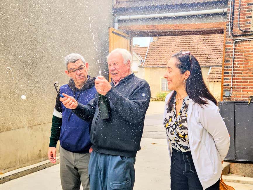 Full Day Pommery Small Group Tour - Reims Cathedral: A Gothic Wonder and French Crown Jewel