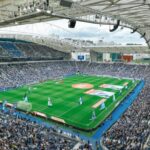 Full Day Porto Tour With Lunch - Visiting the Iconic do dragao Stadium and Its Surroundings