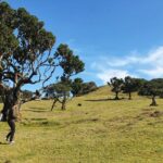 Full Day Private 4x4 Tour in West Madeira with Local Guide - The Unique Stops Along the Route: Serra de Água and Encumeada Pass