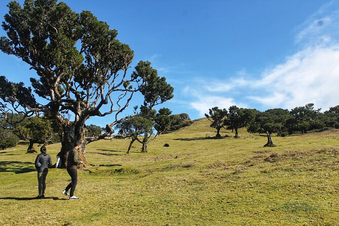Full Day Private 4x4 Tour in West Madeira with Local Guide - The Unique Stops Along the Route: Serra de Água and Encumeada Pass