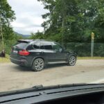 Full-Day Private Carpatian Garden with Dracula's Fortress - Wild Brown Bears - Climbing to Poienari Fortress — Dracula’s Actual Castle