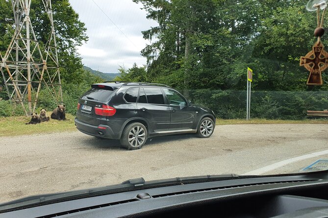 Full-Day Private Carpatian Garden with Dracula's Fortress - Wild Brown Bears - Climbing to Poienari Fortress — Dracula’s Actual Castle