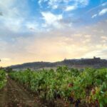 Full-Day Private Cultural Tour in Evora and Monsaraz - Exploring the Medieval Village of Monsaraz