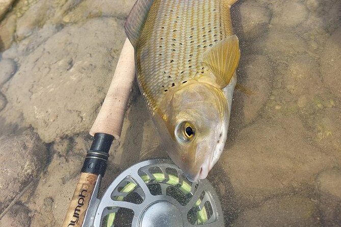Full Day Private Guided Fishing Charter along the Isonzo Front - Guided Fly Fishing on the Isonzo River with Expert Guides