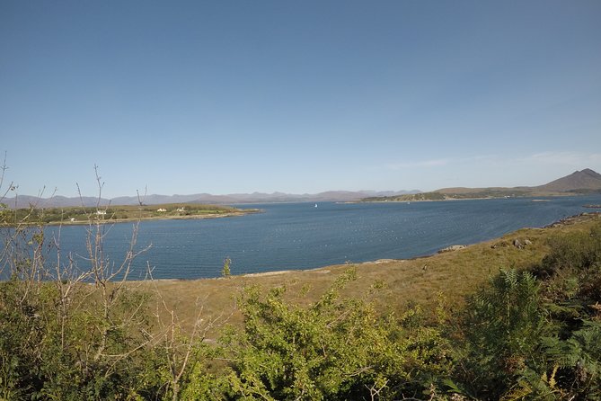 Full-day Private Mizen Head tour from Killarney - Visiting Iconic Viewpoints like Ladies View