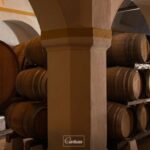 Full-Day Private Tour in Évora with Winery Tour from Lisbon - Starting in Lisbon with Convenient Pickup and Private Transport