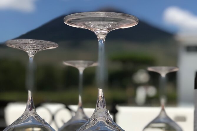 Full Day Private Tour in Pompeii, Vesuvio and Sorrento - Vesuvius National Park and Vineyards