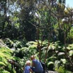 Full-Day Private Tour of Faial - Frequently Asked Questions