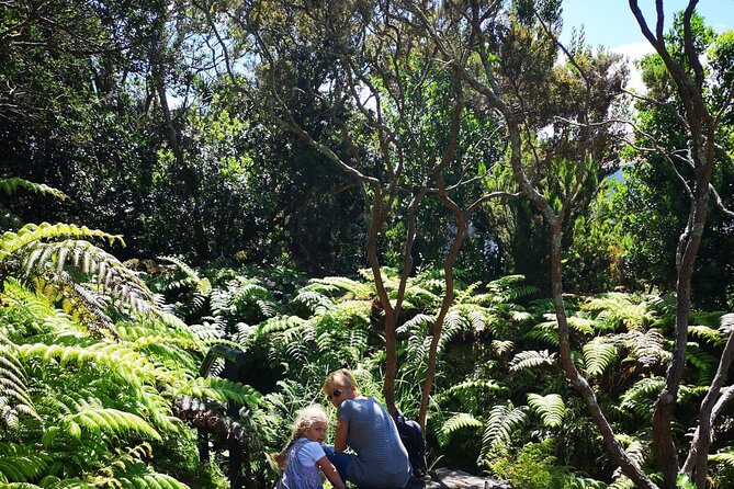 Full-Day Private Tour of Faial - Frequently Asked Questions