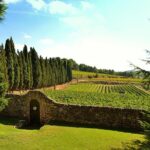 Full Day Private Tour of Montserrat and Winery from Barcelona with pick up - Visiting Montserrat: The Museum, Abbey, and the Moreneta