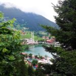Full-Day Private Tour to Uzungöl from Trabzon - Starting Point and Transport Comfort in Trabzon